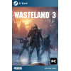 Wasteland 3 Steam [Singleplayer Only]